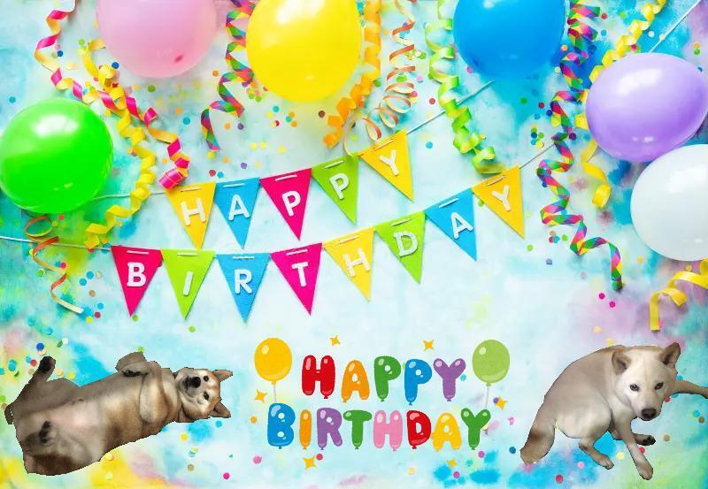 焦糖、布丁9歲生日快樂! 焦糖、布丁9歲生日快樂!